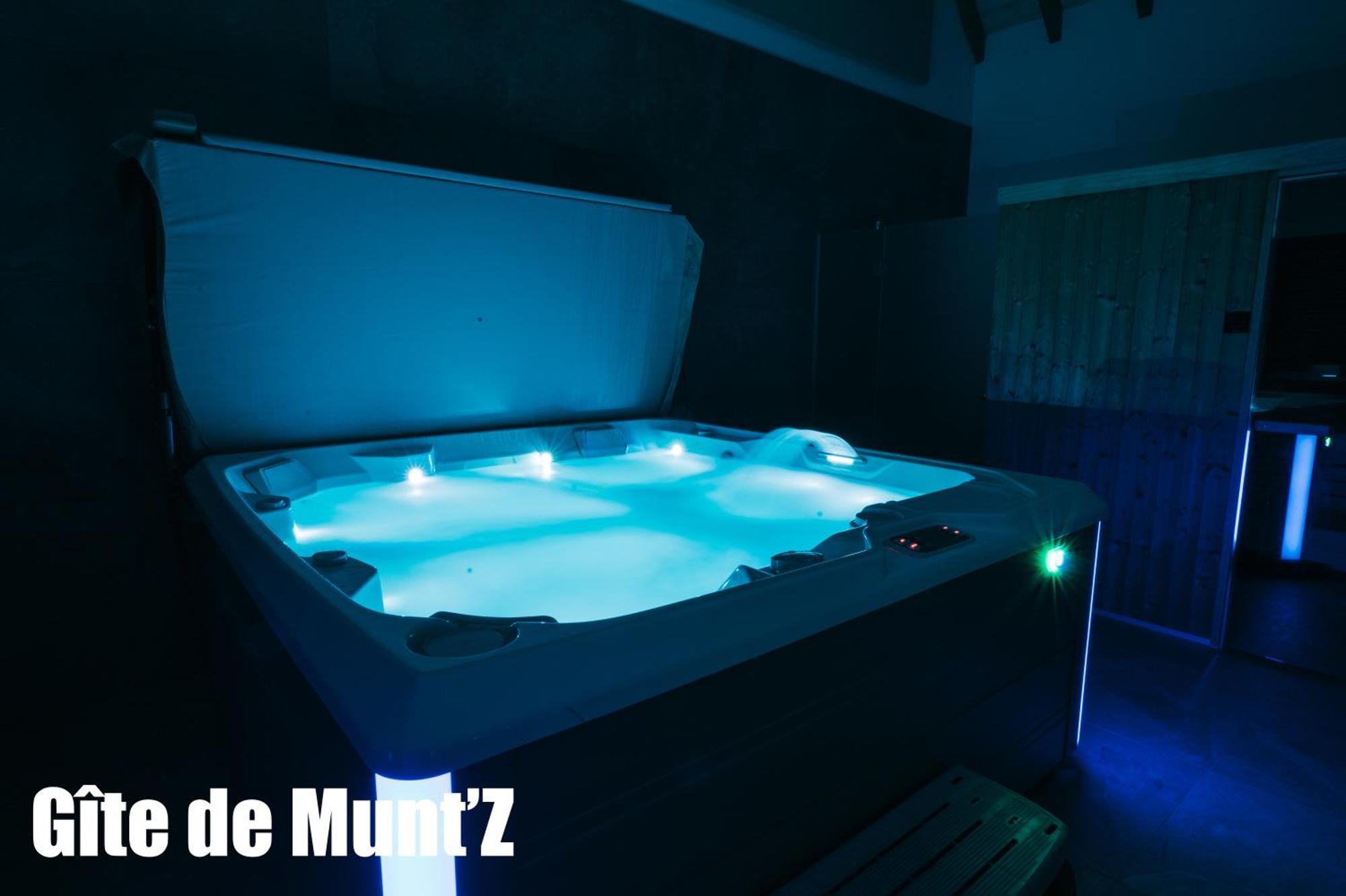 Gite De Munt'Z Spa, Sauna, Piscine, Proche De Colmar Muntzenheim エクステリア 写真